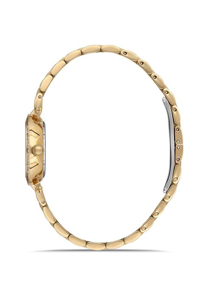 Momentus Women's Shiny SS395G-09SG