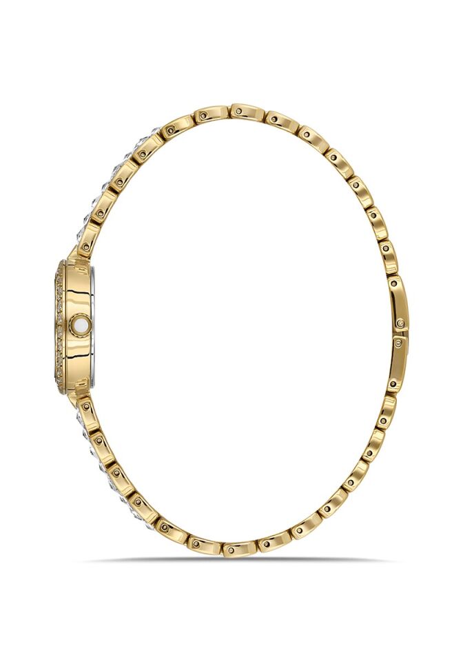 Momentus Women's Shiny SS274G-09SG