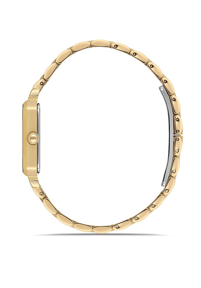 Momentus Women's Shiny SS223G-02SG