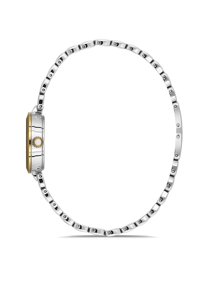 Momentus Women's Shiny SS279T-09SG