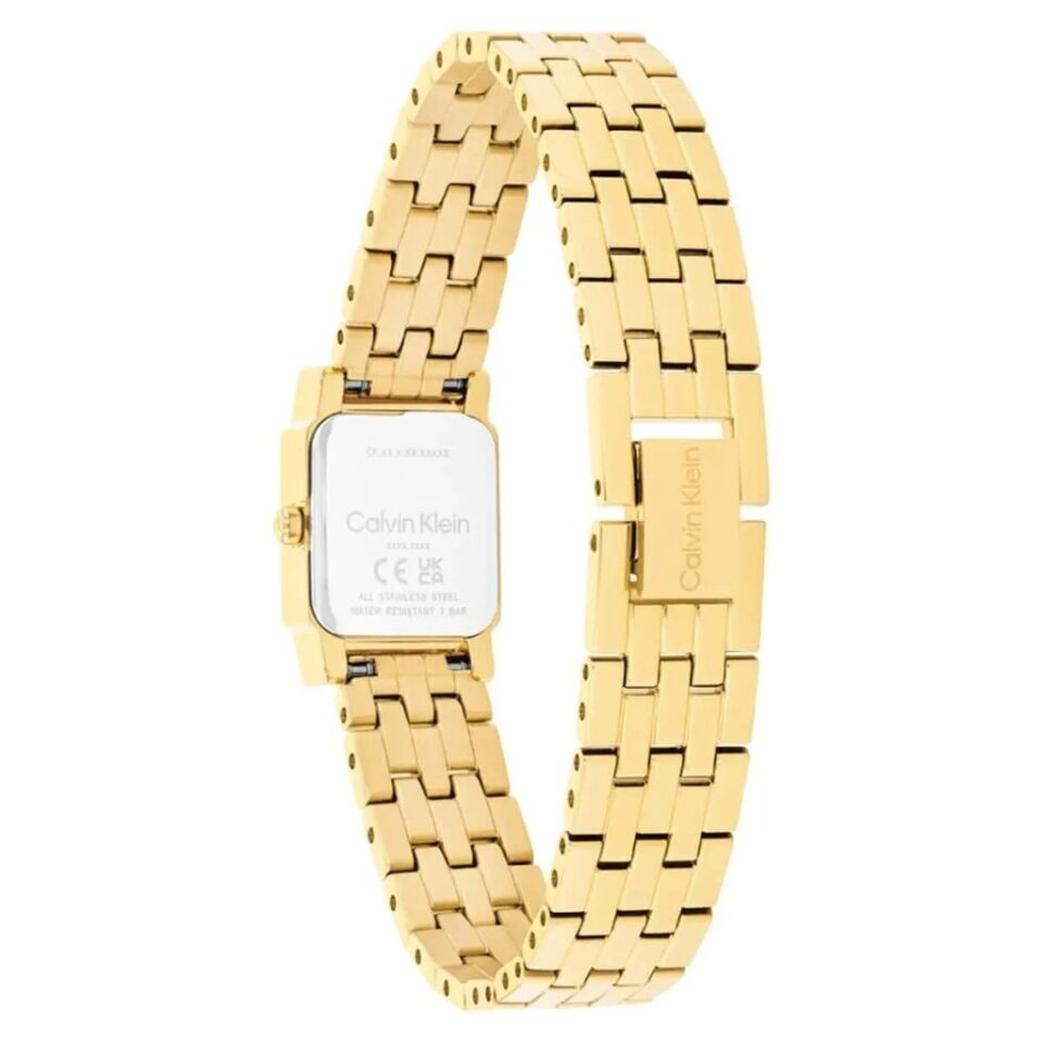 Calvin Klein CK25100162 Kadın Kol Saati