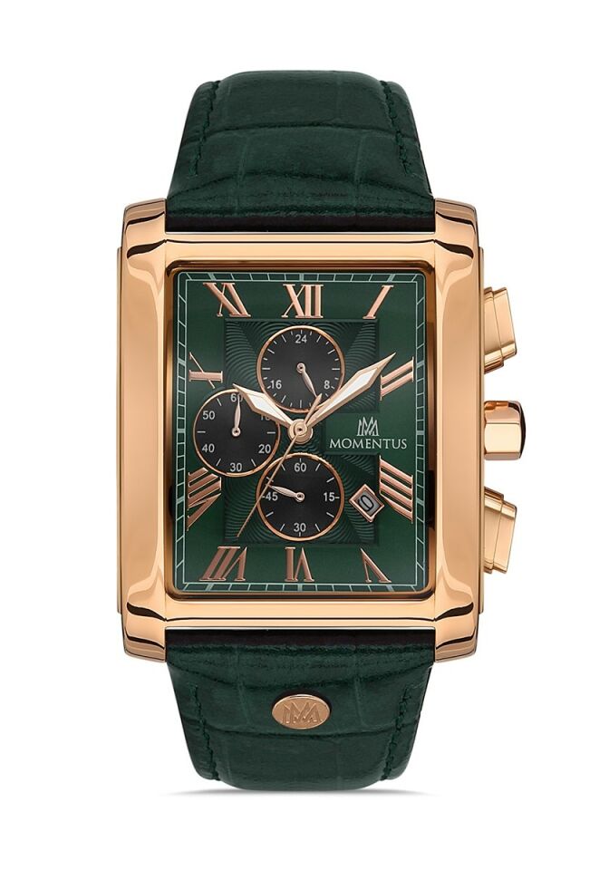 Momentus Men's Time Master TM111R-15YR