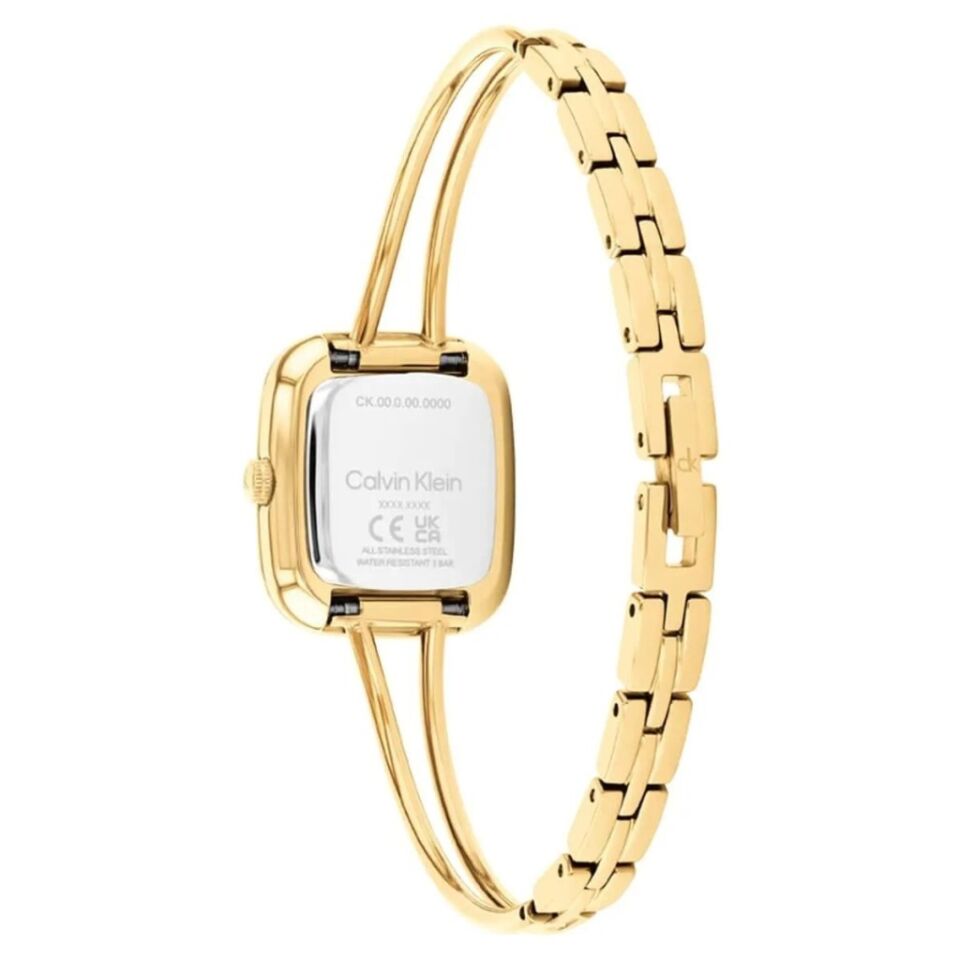Calvin Klein CK25100132 Kadın Kol Saati