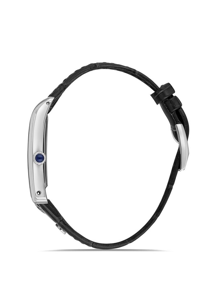 Momentus Men's Classic Master CM365S-04BS