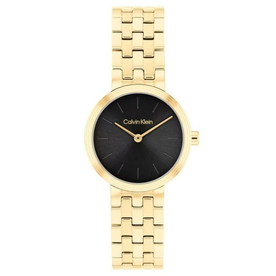 Calvin Klein CK25100187 Kadın Kol Saati
