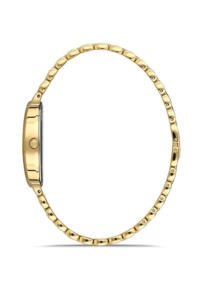 Momentus Women's Classy CW254G-02SG