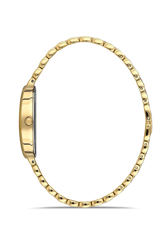 Momentus Women's Classy CW254G-02SG