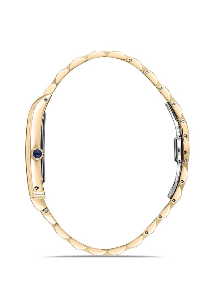 Momentus Men's Classic Master CM365G-02SG