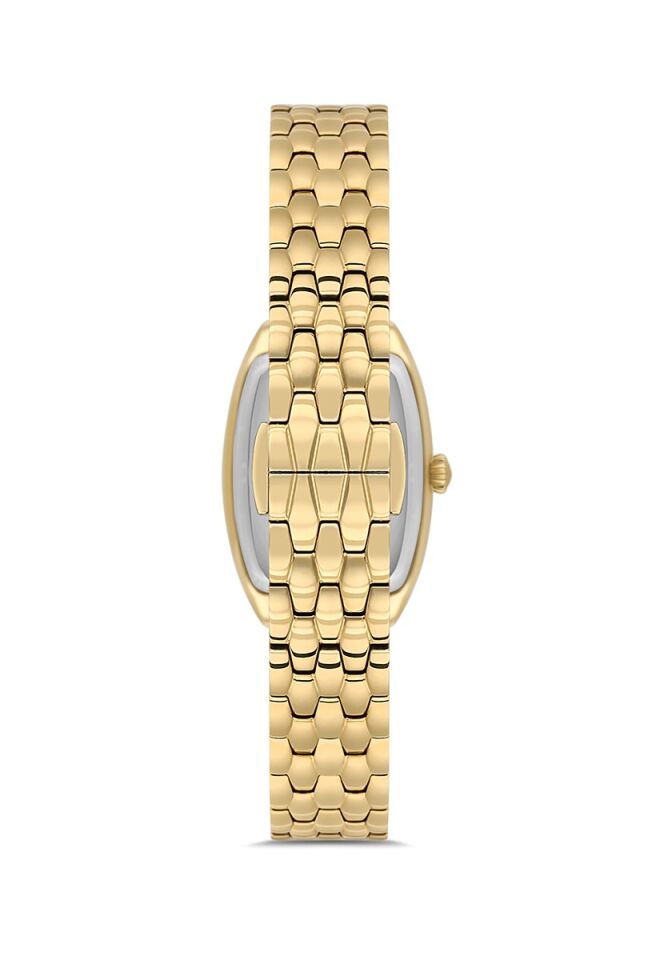 Momentus Women's Classy CW310G-15SG