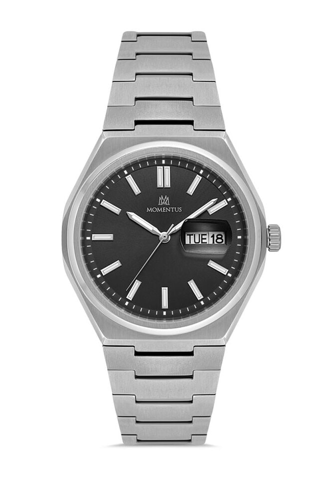 Momentus Men's Crown Master CM380S-04SS