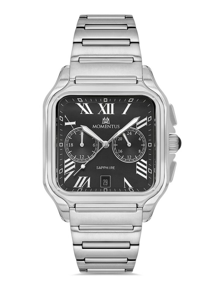 Momentus Men's Time Master TM348S-04SS