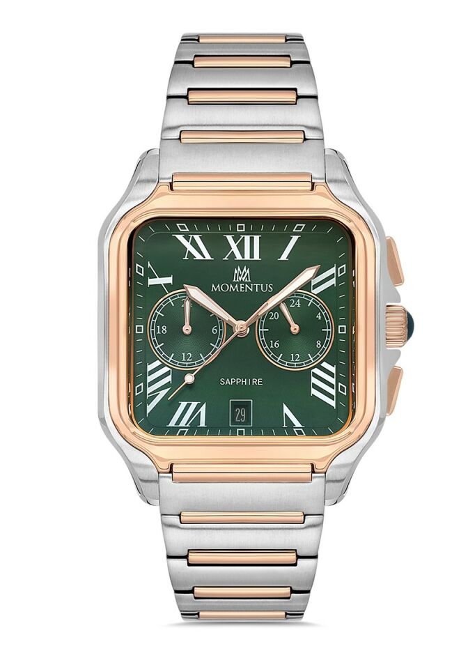 Momentus Men's Time Master TM348T-15SR