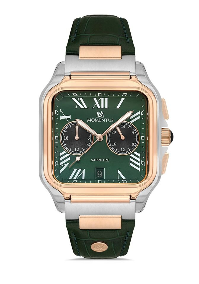Momentus Men's Time Master TM348T-15YR