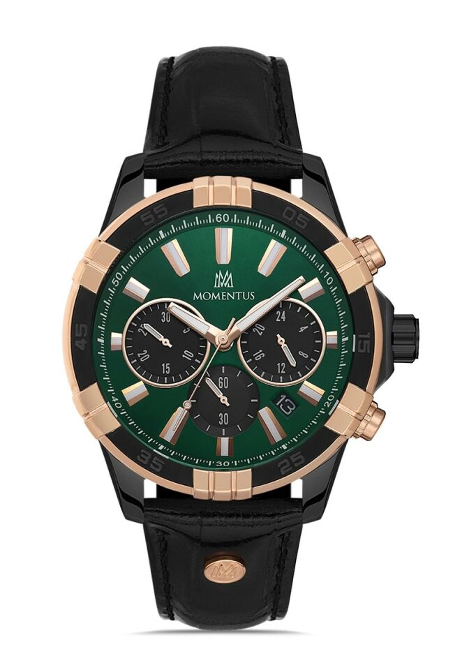 Momentus Men's Time Master SM367T-15BR