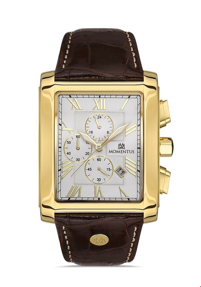 Momentus Men's Time Master TM111G-02KG