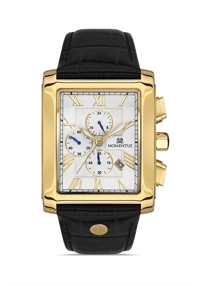 Momentus Men's Time Master TM111G-02BG