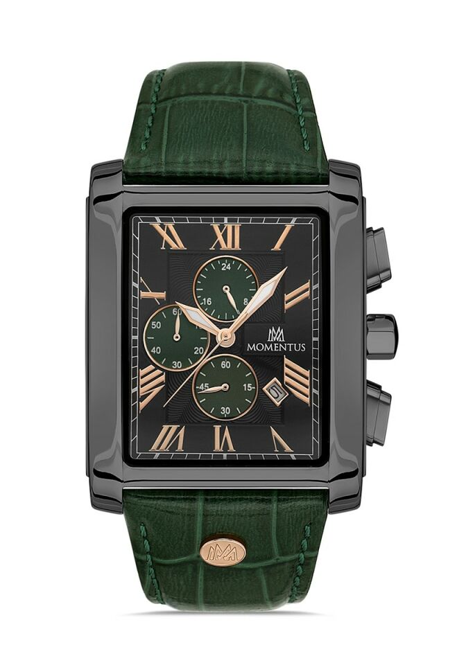 Momentus Men's Time Master TM111N-15YR