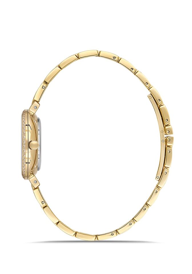 Momentus Women's Shiny SS405G-02SG