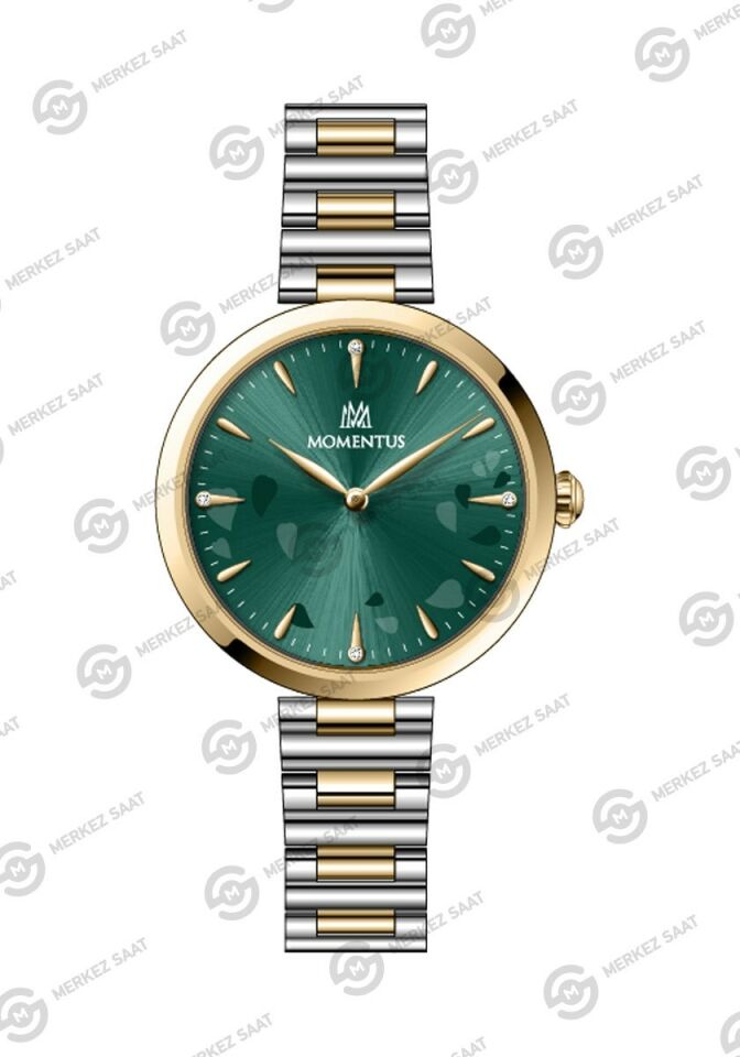 Momentus Women's Classy CW313T-15SG