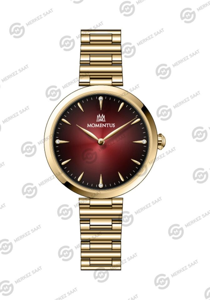 Momentus Women's Classy CW313G-14SG