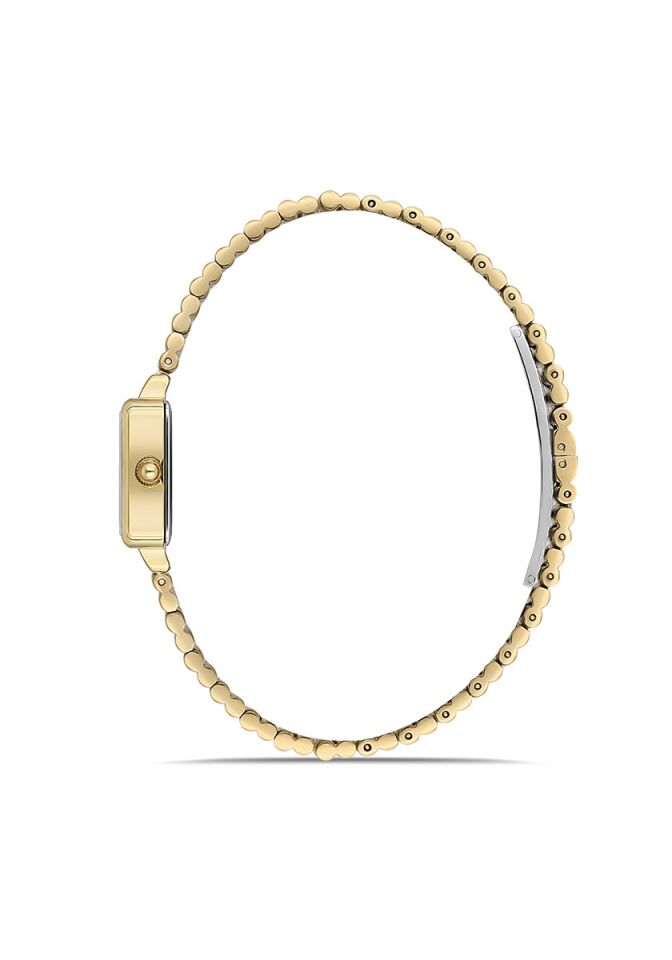 Momentus Women's Classy CW312G-14SG