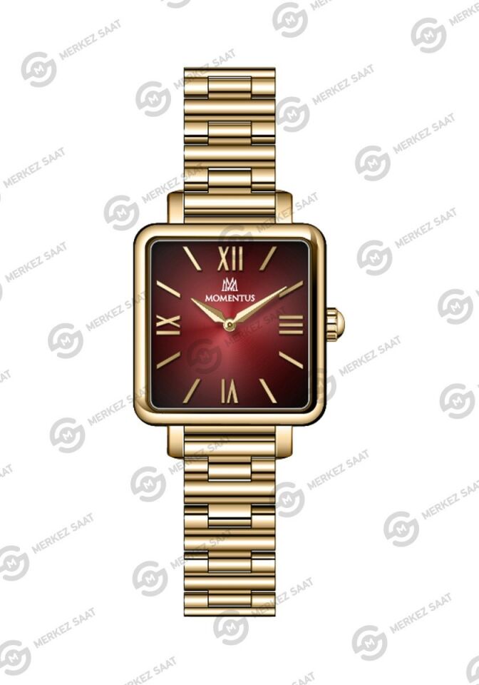 Momentus Women's Classy CW312G-14SG