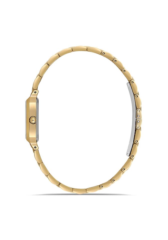 Momentus Women's Shiny SS398G-14SG