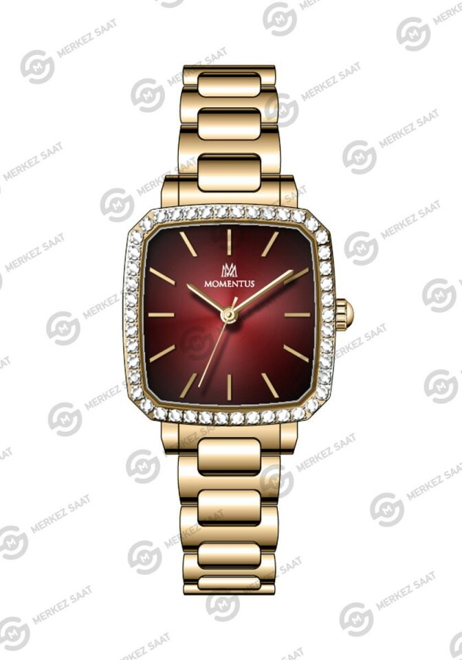 Momentus Women's Shiny SS398G-14SG