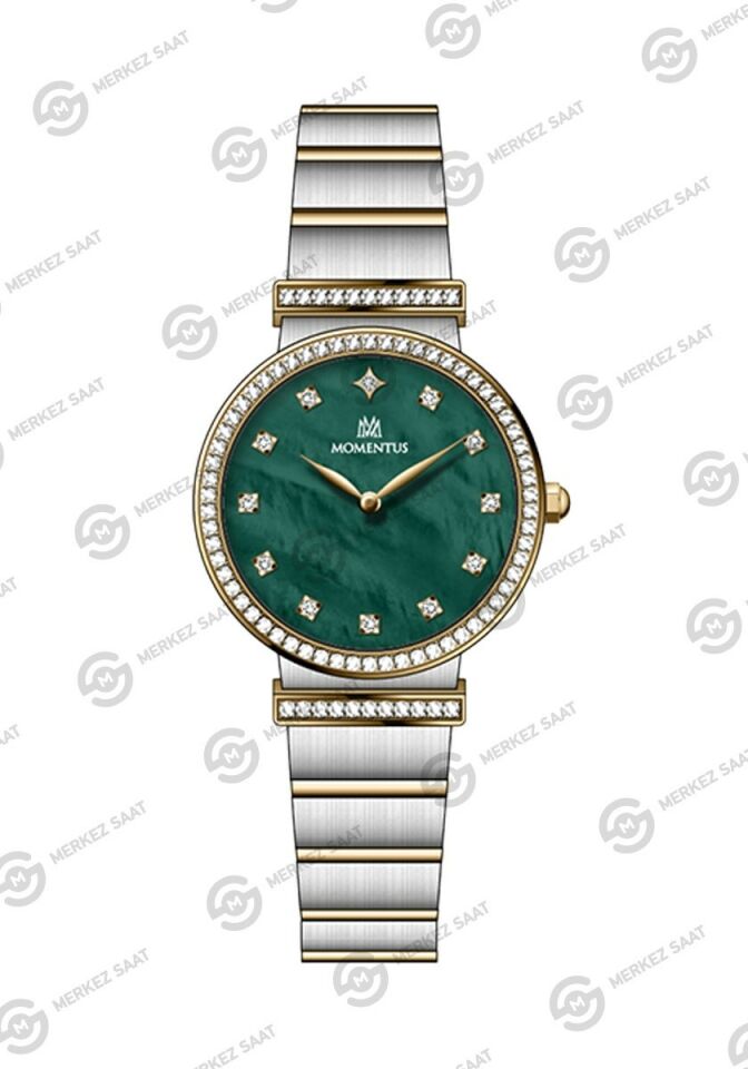 Momentus Women's Shiny SS396T-15SG