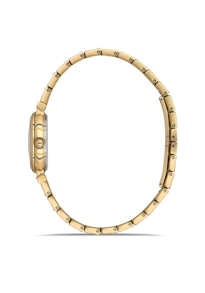 Momentus Women's Shiny SS396G-14SG