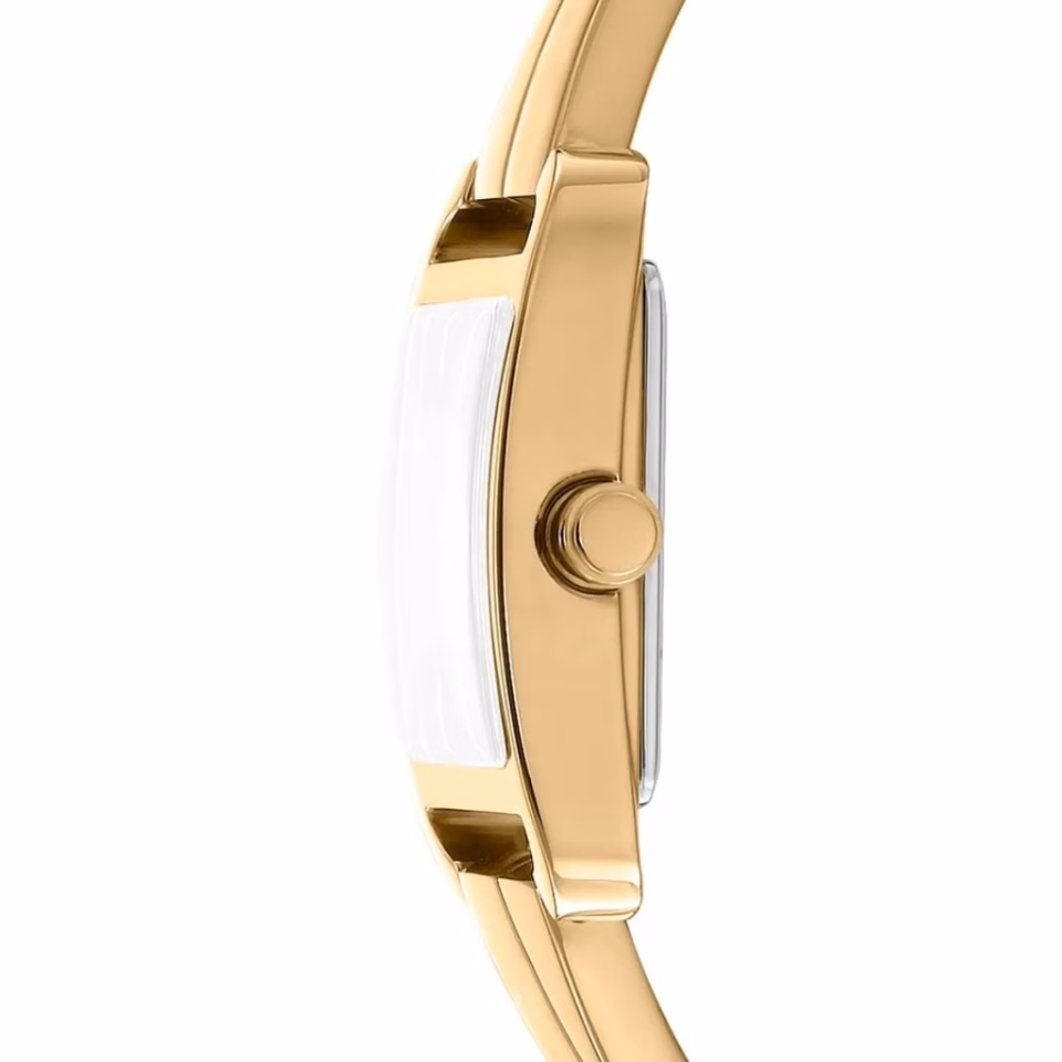 Dkny DK1L005M0135 Kadın Kol Saati