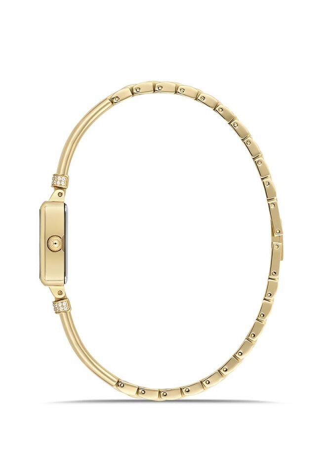 Momentus Women's Shiny SW297G-15SGS