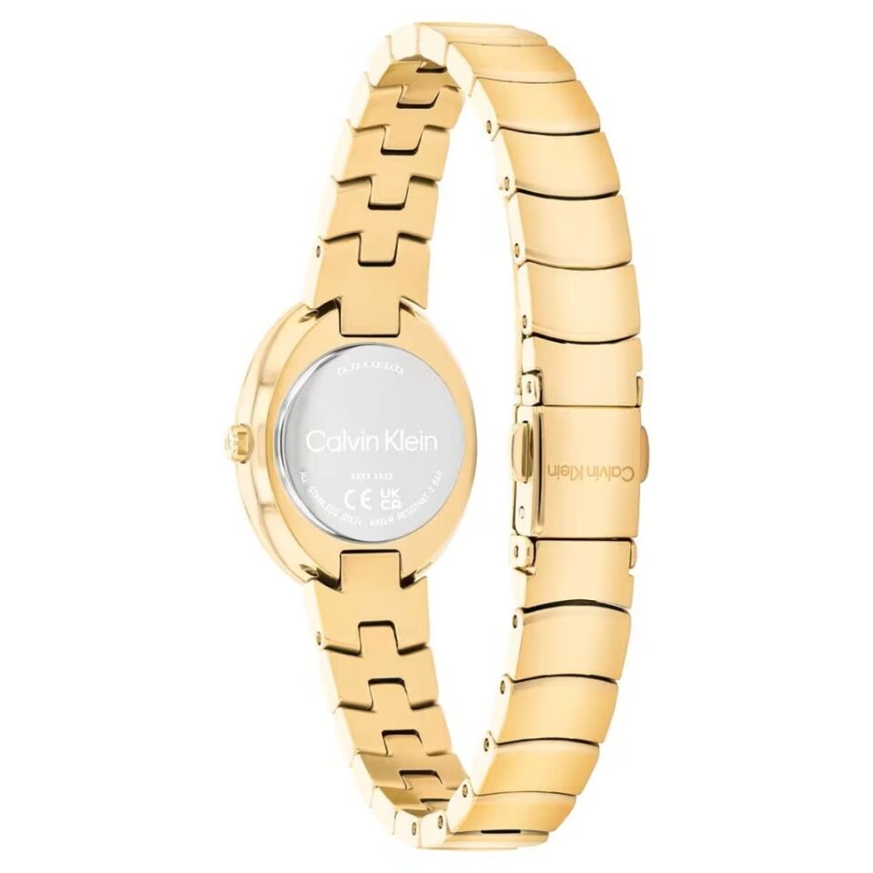 Calvin Klein CK25100147 Kadın Kol Saati