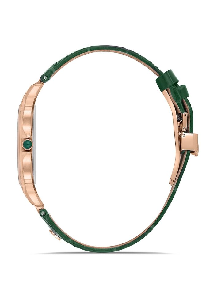 Momentus Men's Crown Master EM348R-04BR