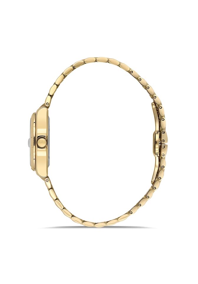 Momentus Women's Shiny Star CS262G-08SG