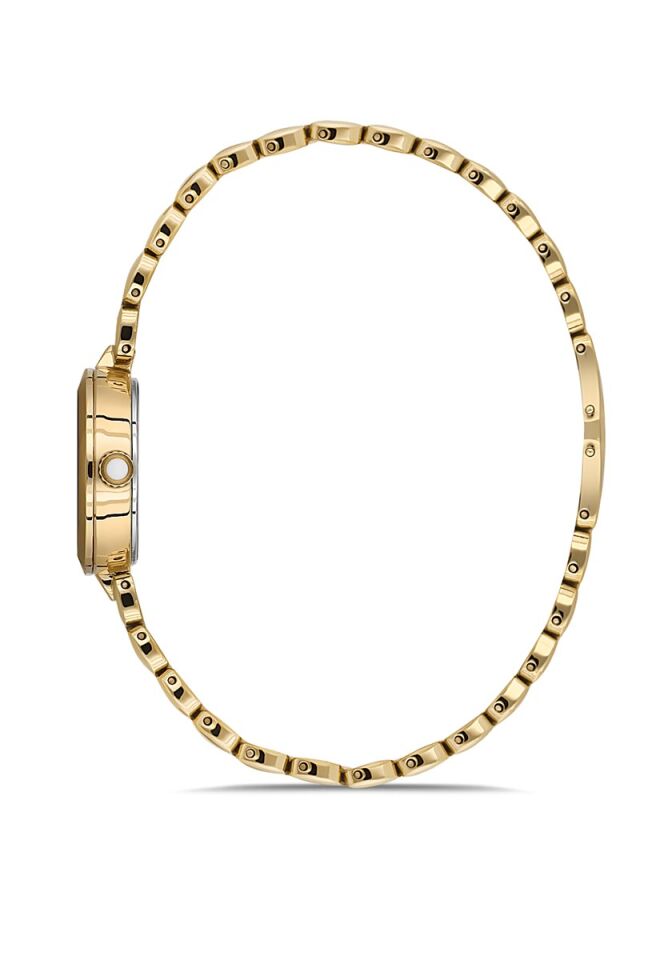 Momentus Women's Shiny SS279G-09SG