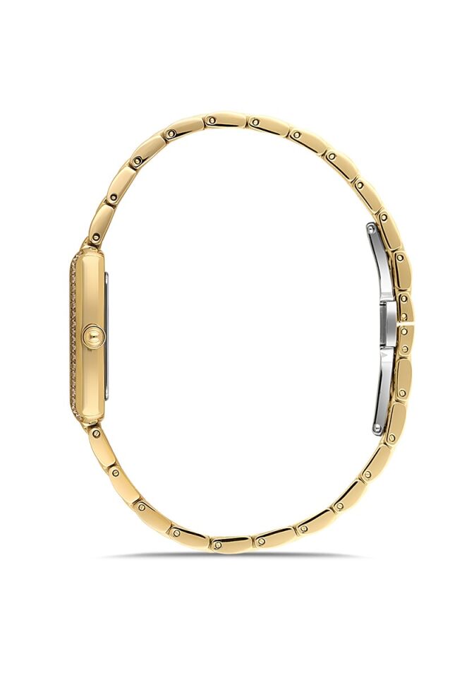 Momentus Women's Shiny SS278G-08SG