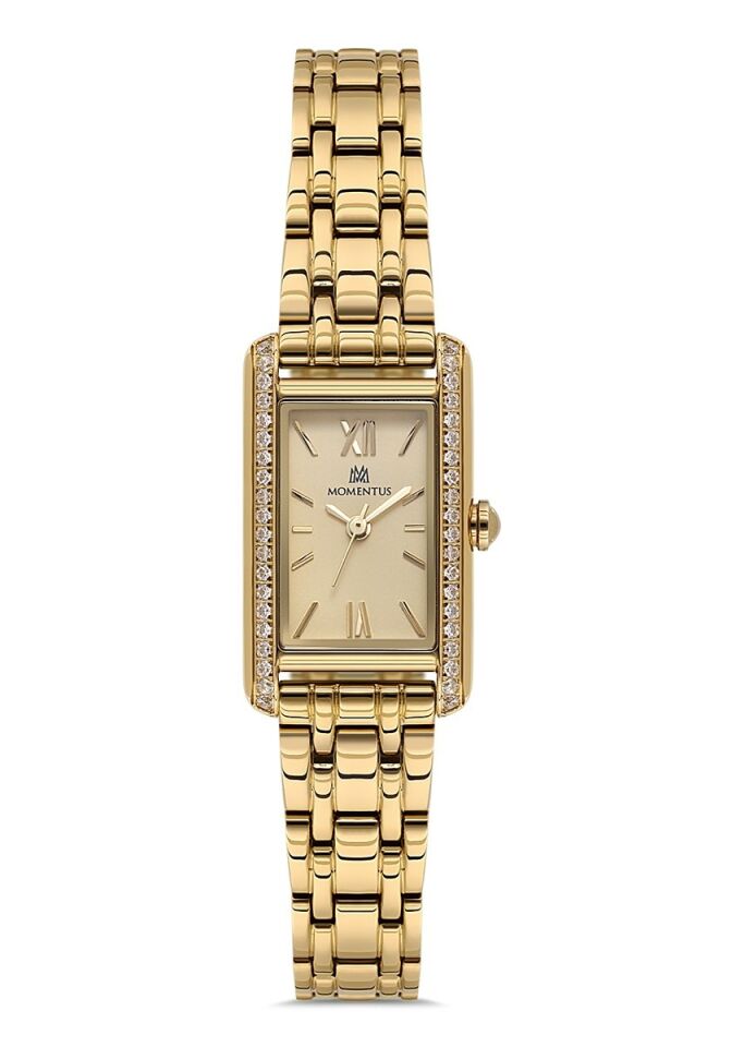 Momentus Women's Shiny SS278G-08SG