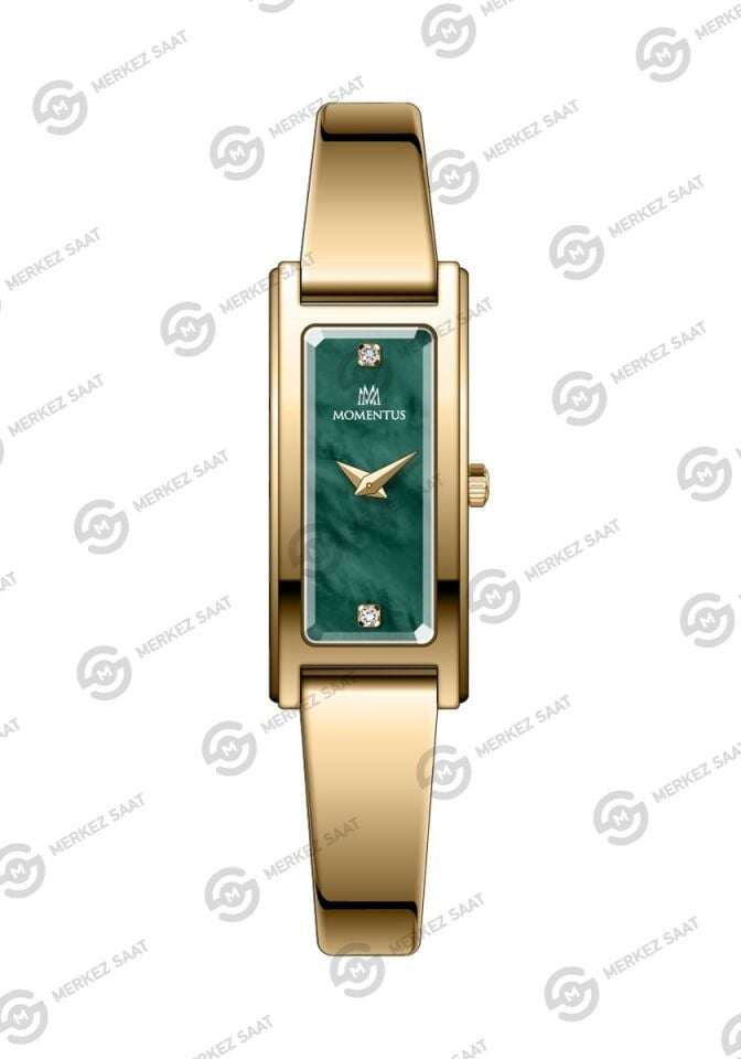 Momentus Women's Classystar CS371G-15SG