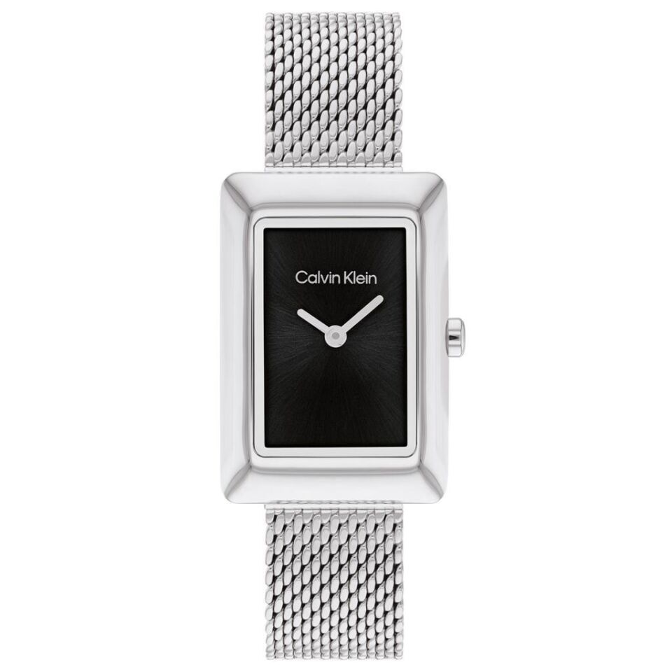 Calvin Klein CK25200399 Kadın Kol Saati