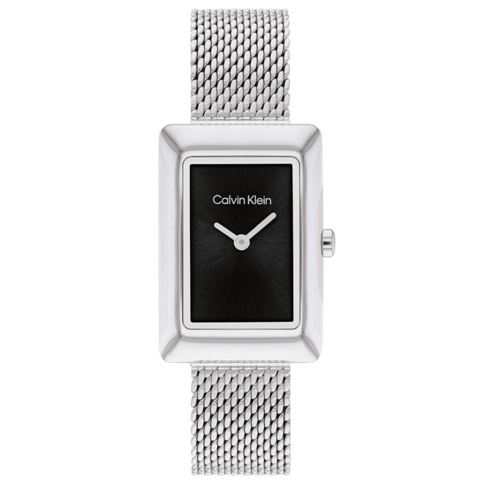 Calvin Klein CK25200399 Kadın Kol Saati
