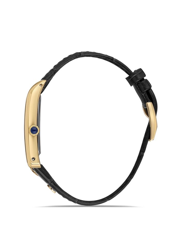Momentus Men's Classic Master CM365G-02BG