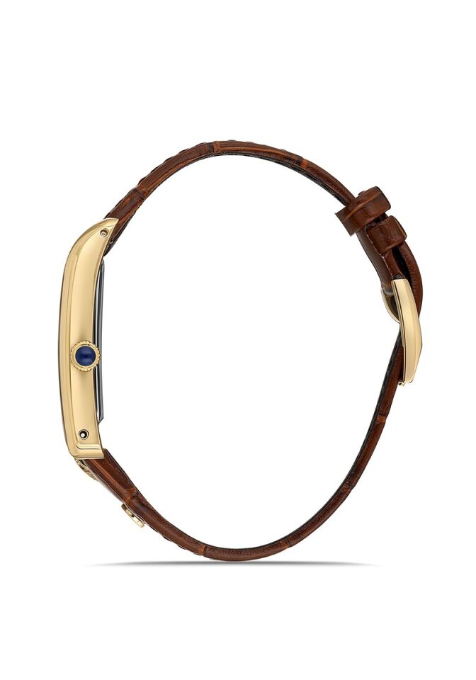 Momentus Men's Classic Master CM365G-02KG