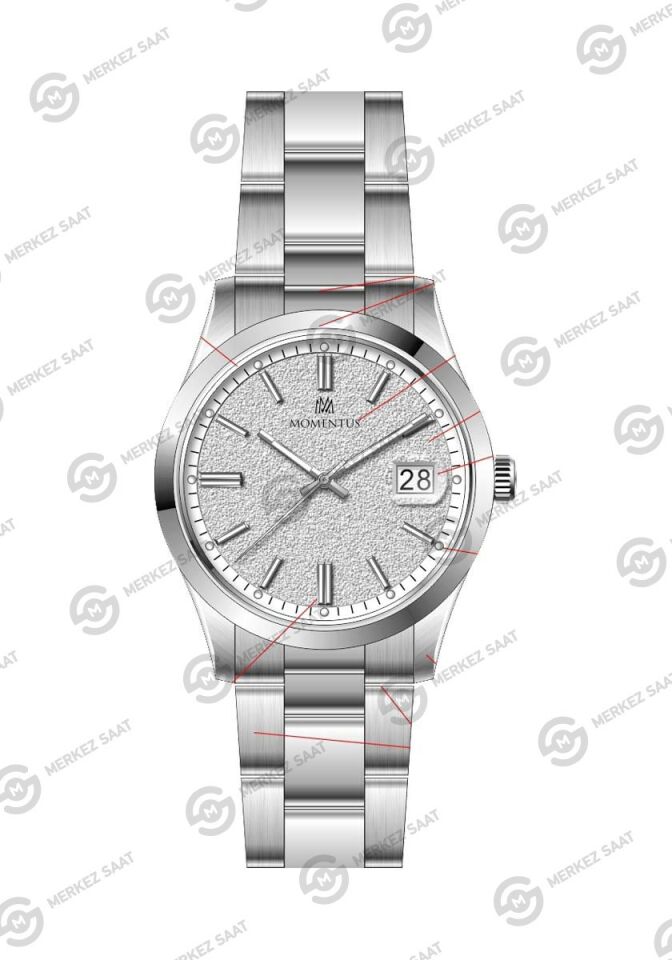 Momentus Men's Crown Master CR392S-02SS