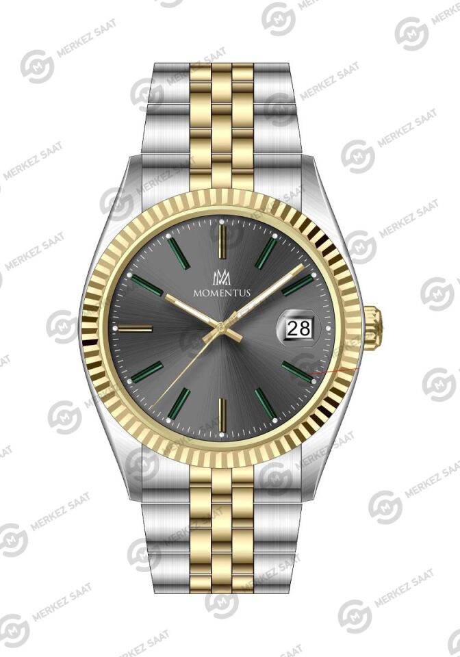 Momentus Men's Crown Master CR251T-03SG