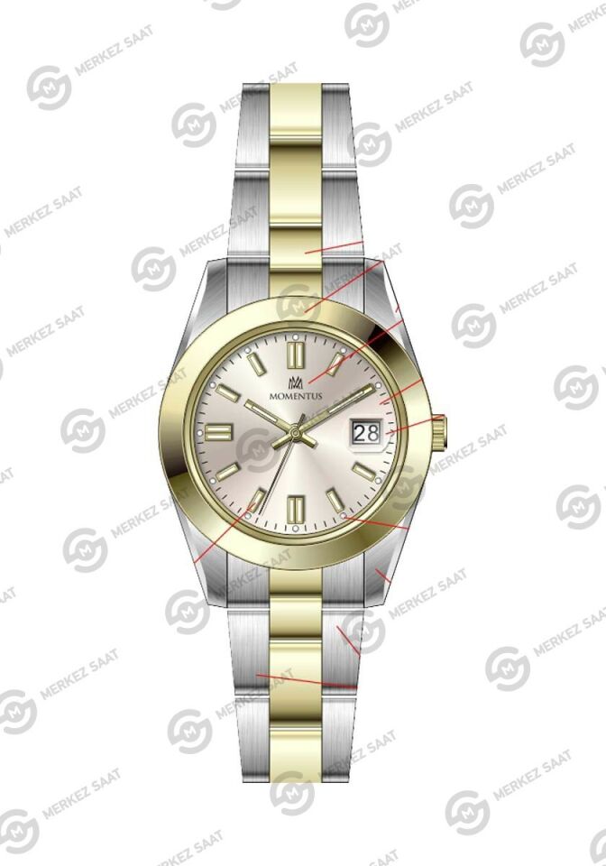 Momentus Women's Classy CW392T-08SG
