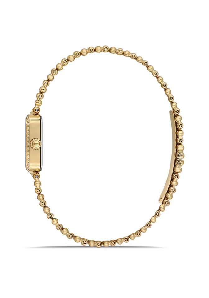 Momentus Women's Shiny SS393G-15SG