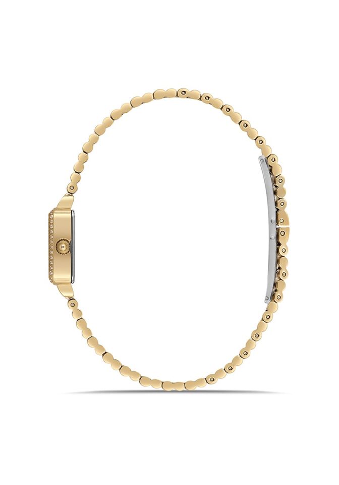 Momentus Women's Shiny SS402G-08SG