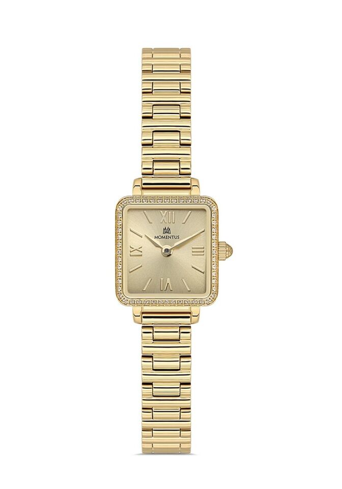 Momentus Women's Shiny SS402G-08SG