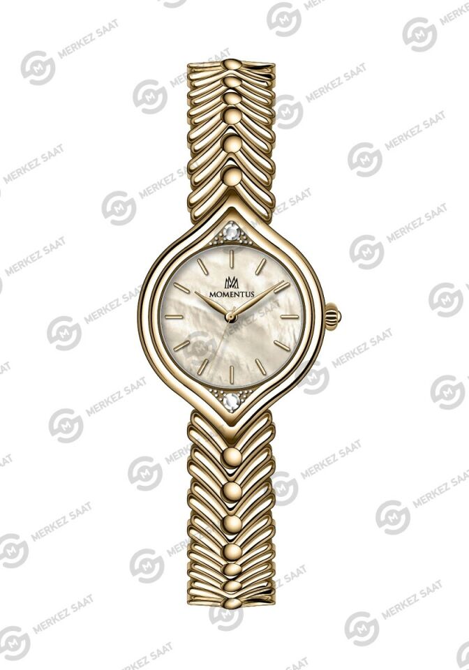 Momentus Women's Shiny Star SS416G-08SG